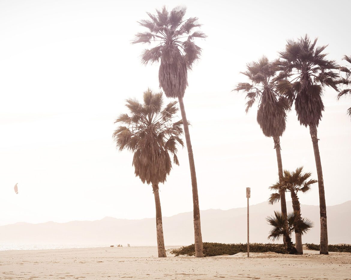 unsplash