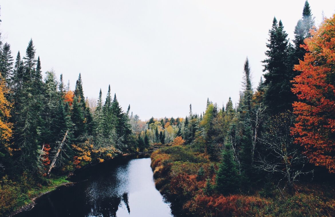 autumn feels blog post