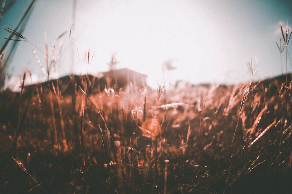 summer blog post