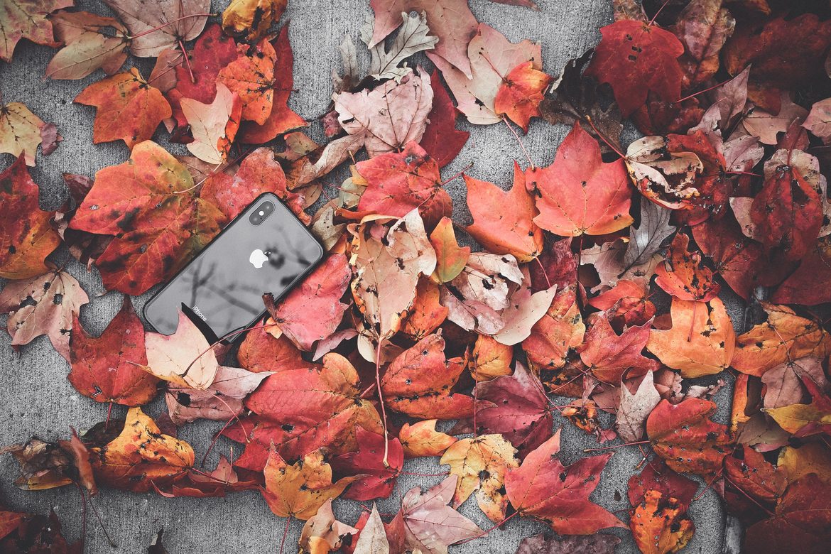 herbst autumn